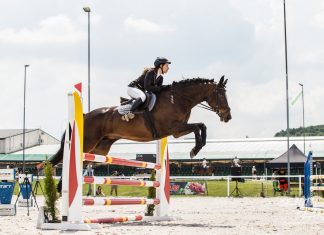 Na Śląsku ruszają AMP w jeździectwie