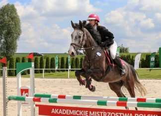 W Radzionkowie… konie kują