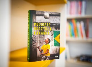 Kanarek na glinianych nogach