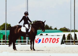 Ruszają jeździeckie AMP. 107 uczestników imprezy na Śląsku