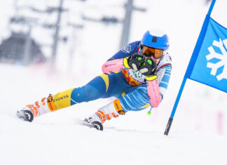 Wilczy apetyt na narciarstwo