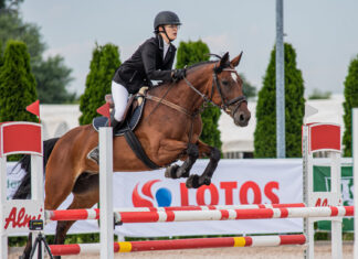 Uniwersytet Warmińsko-Mazurski akademickim mistrzem Polski w jeździectwie