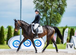 Akademia Leona Koźmińskiego w Warszawie najlepsza podczas AMP w jeździectwie