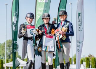 Studenci UW Warszawa najlepsi w AMP w jeździectwie