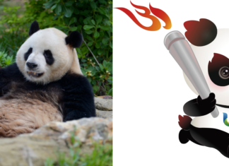 Rongbao już czeka. W Chengdu jest wszędzie!