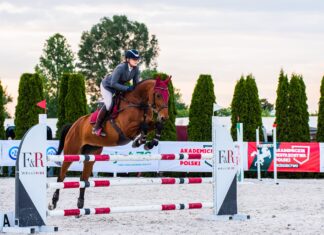 Nikt nie daje sobie siana