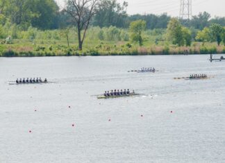 Ósemki będą królować i punktować