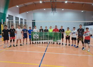 Różne akcje we wspólnym celu