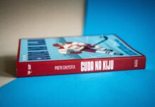 Piotr Chłystek: „Środowisko hokejowe jest bardzo zaniedbane”