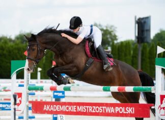 AMP w jeździectwie kolejny raz dla ALK Warszawa