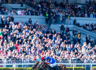 Tor Służewiec gospodarzem ceremonii otwarcia Akademickich Mistrzostw Europy